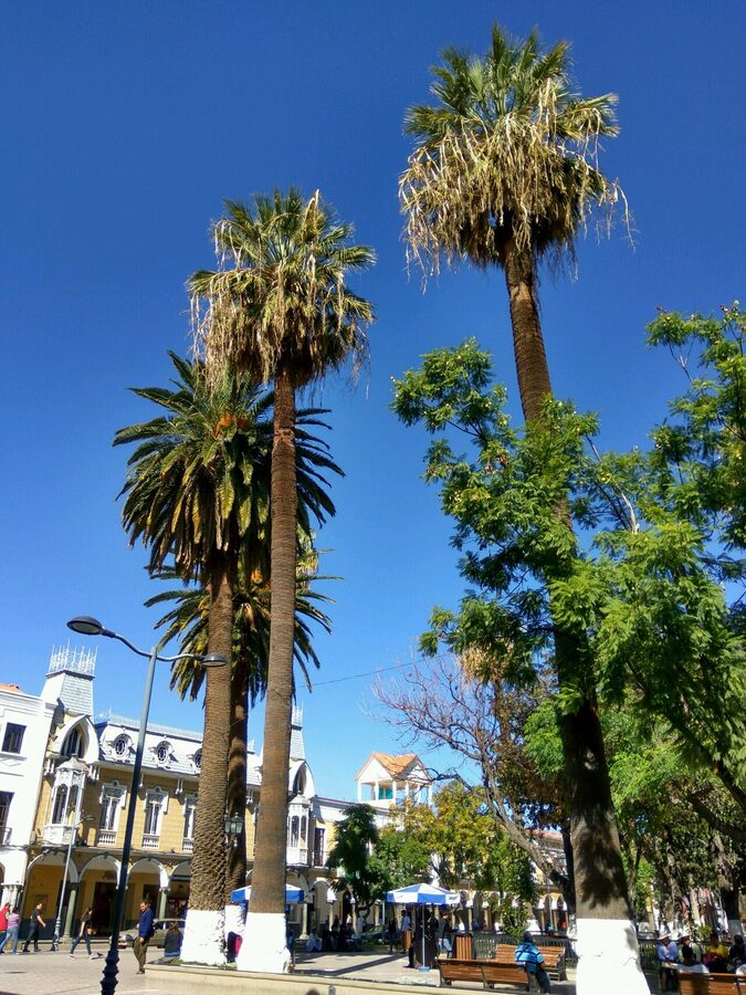 The palm-lined Plaza 14 de Septiembre in Cochabamba