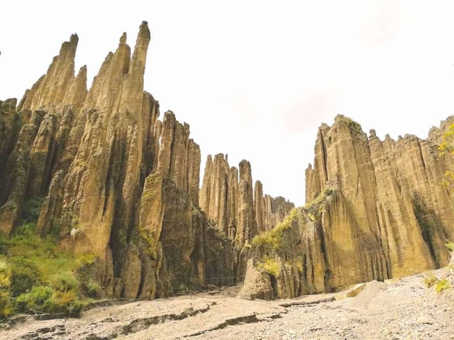 Animas Valley & Palca Canyon - Five things to know before you book