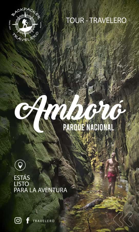 Day Tour / Amboro National Park (north side) - Key Points Before You Book