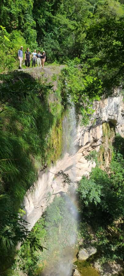 Day Tour / Amboro National Park (north side) - The First Hour Through Forest Before Conservation Area