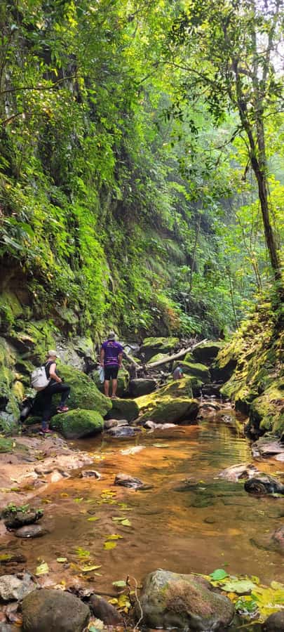Day Tour / Amboro National Park (north side) - Why the Local Guide Matters