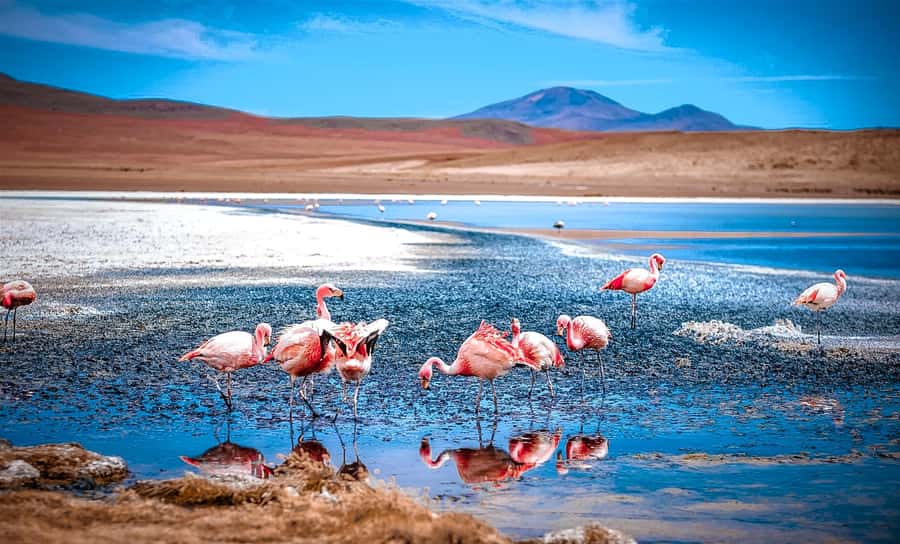 From La Paz: 4-Day Trip to San Pedro de Atacama w/Salt Flats - Why this route works so well