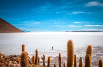 From La Paz: 4-Day Trip to San Pedro de Atacama w/Salt Flats - The overnight bus from La Paz to Uyuni