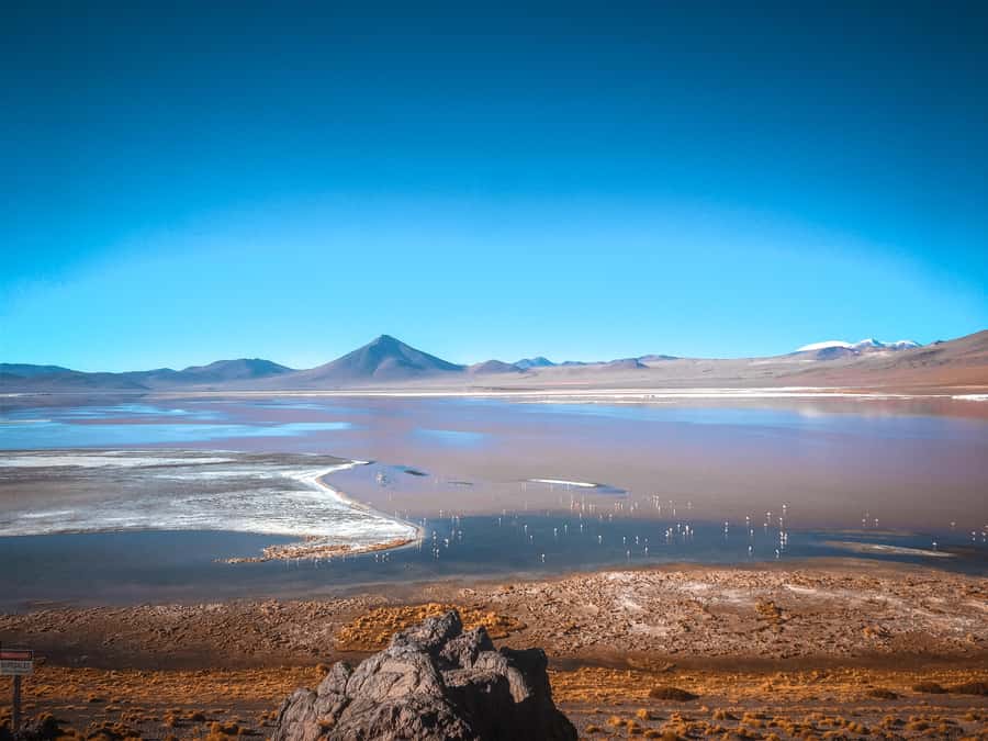 From La Paz: 4-Day Trip to San Pedro de Atacama w/Salt Flats - Guides, drivers, and the small-group setup
