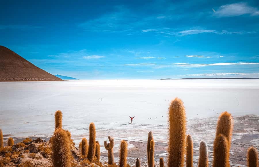 From La Paz: 4-Day Trip to San Pedro de Atacama w/Salt Flats - The overnight bus from La Paz to Uyuni