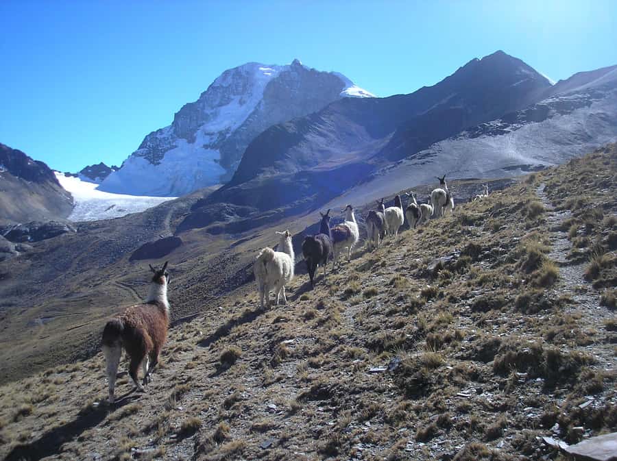 From La Paz: Condoriri Andes, Pico Austria Full Day Hiking - Who will enjoy this outing most?