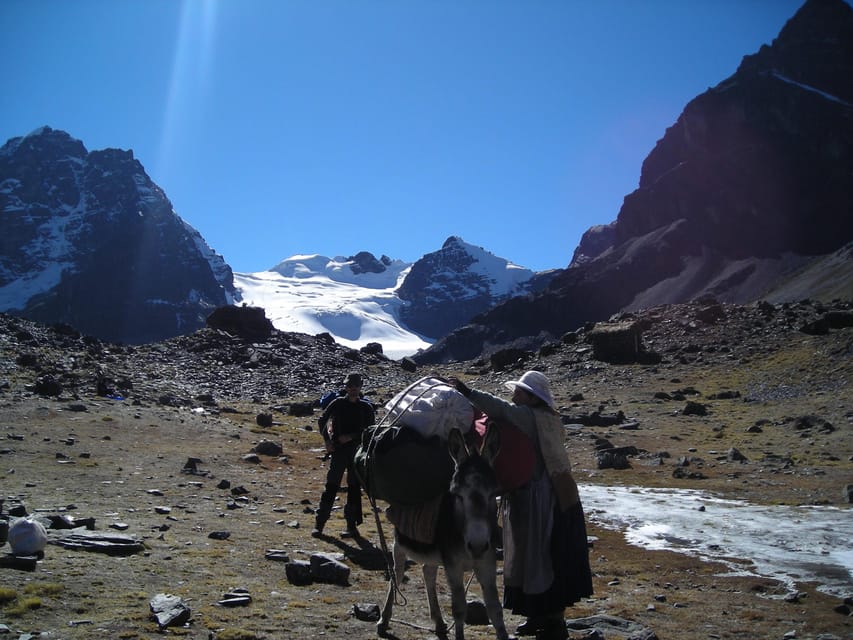From La Paz: Condoriri Andes, Pico Austria Full Day Hiking - Llamas, alpacas, and Andean geese along the route
