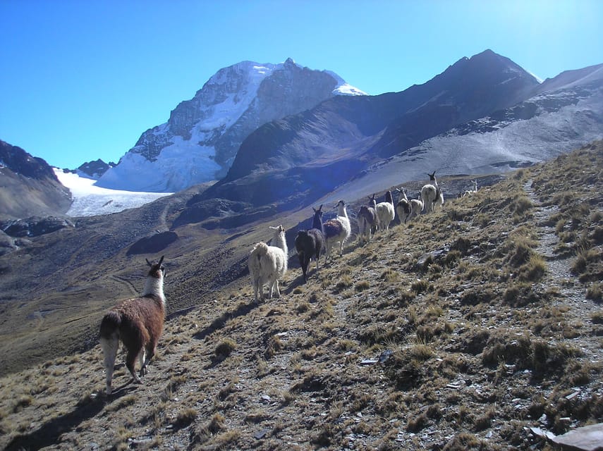 From La Paz: Condoriri Andes, Pico Austria Full Day Hiking - The guide adds more than directions