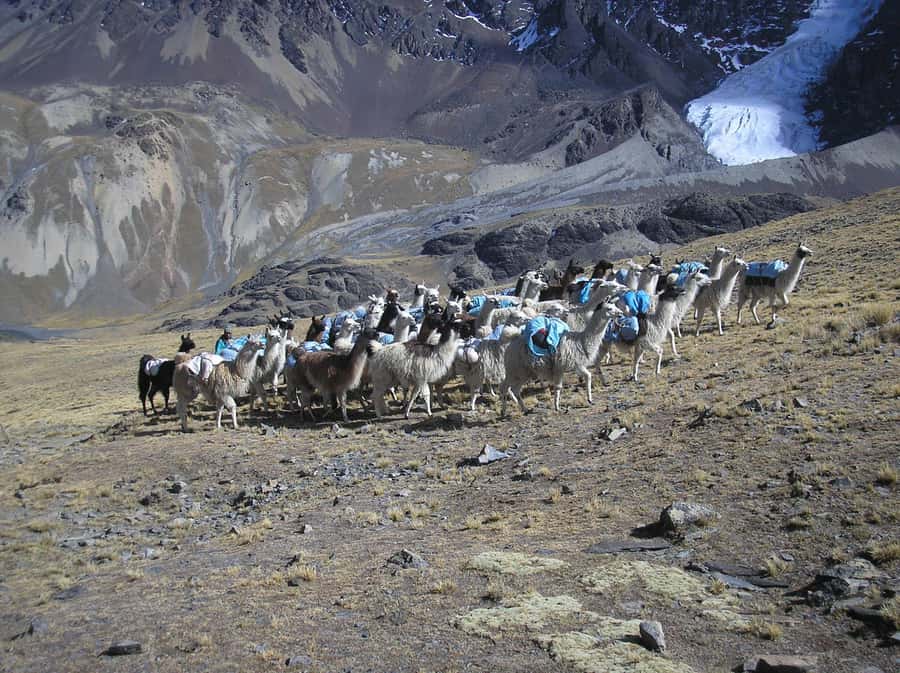 From La Paz: Condoriri Andes, Pico Austria Full Day Hiking - The timing needs a careful check