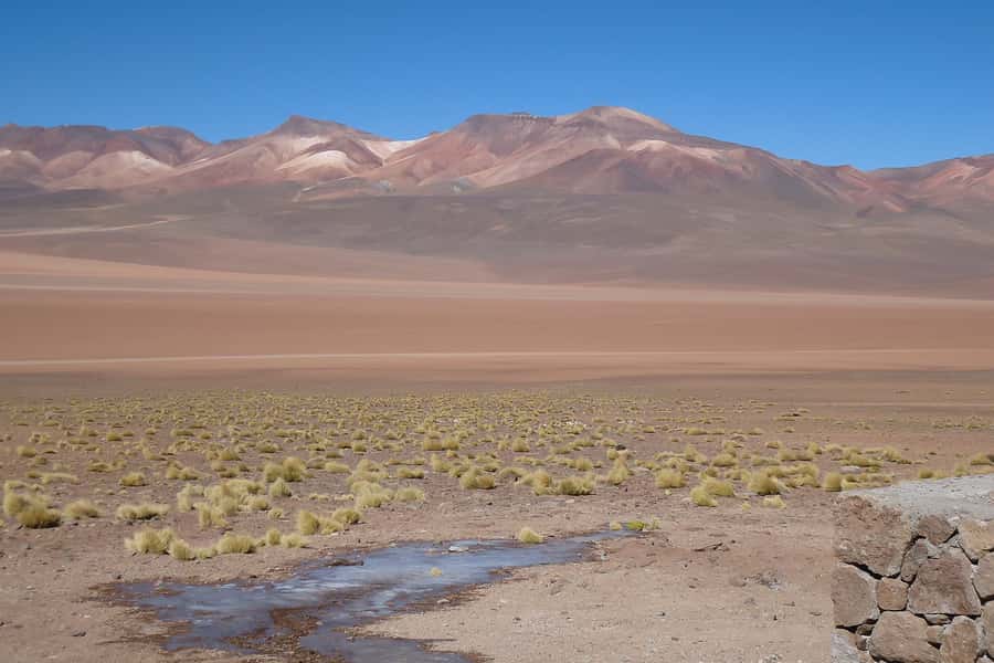 From La Paz to Atacama: Uyuni Salt Flats 4-Day Tour - Day 3: Five lagoons and the red waters of Laguna Colorada