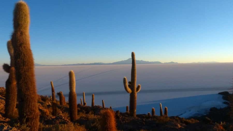 From La Paz: Uyuni Salt Flats & Lagoons 5-Day Tour - What the 4WD ride is really like