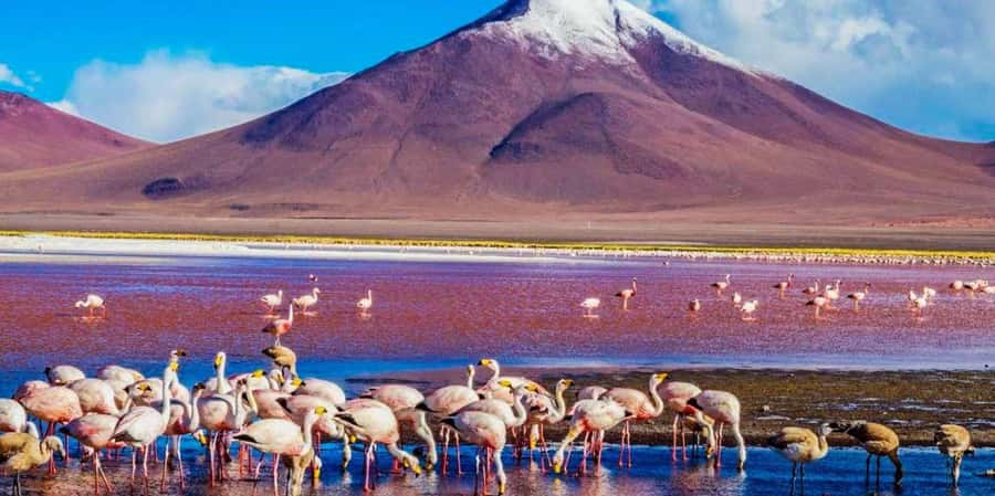 From San Pedro de Atacama: 3 days to Uyuni Salt Flat - What the transport and group size mean