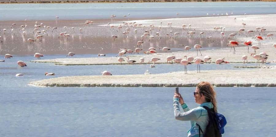 From San Pedro de Atacama: 3 days to Uyuni Salt Flat - Is $340 a good value?