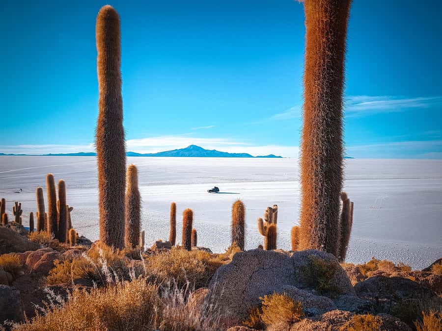 From Uyuni: Full-Day Guided Trip to Salar de Uyuni - Why this one-day route works