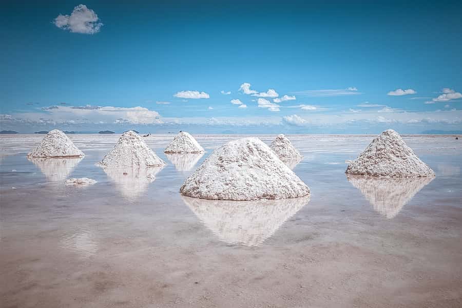 From Uyuni: Full-Day Guided Trip to Salar de Uyuni - Incahuasi Island and its giant cacti