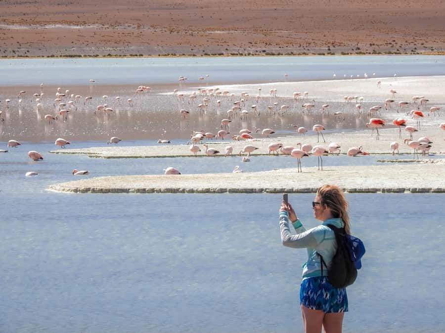 From Uyuni: Red Lagoon & Uyuni Salt Flats 3-Day Guided Tour - Day 1: From Uyuni’s trains to the endless salt