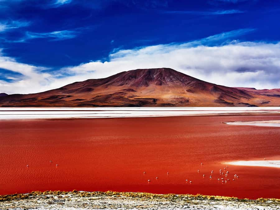 From Uyuni: Salt Flats Highlights Jeep Tour with Lunch - The former salt hotel has tables made from salt