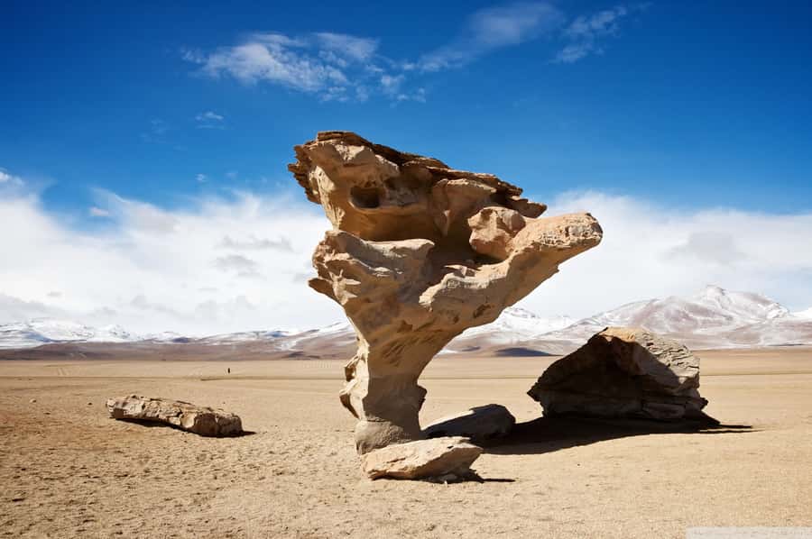 From Uyuni: Salt Flats Highlights Jeep Tour with Lunch - Is $80 good value?