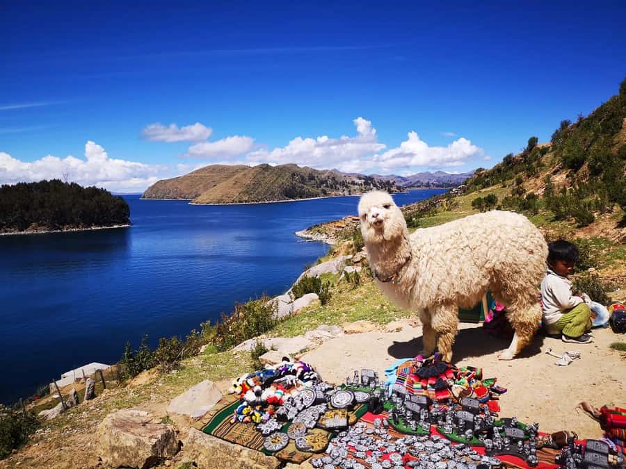 La Paz: 2-day Excursion to Lake Titicaca and Sun Island - Key points to know before booking