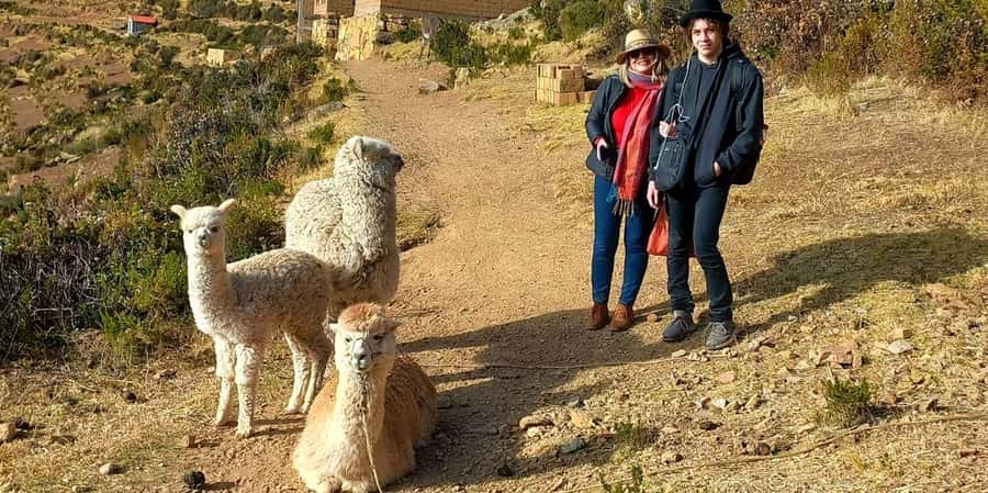 La Paz: 2-day Excursion to Lake Titicaca and Sun Island - Guide Efrain, language, and service quality