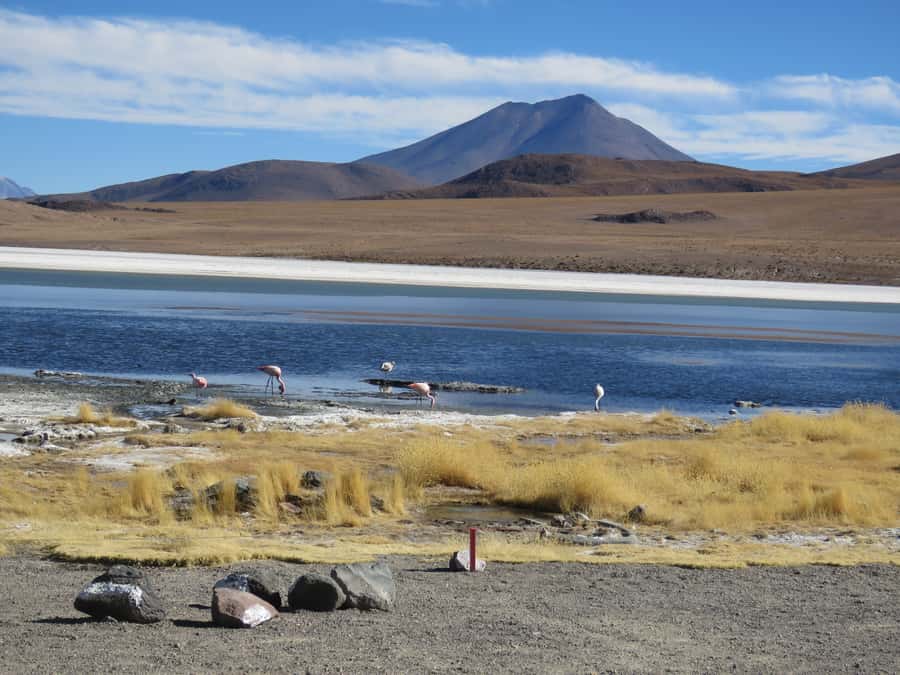 La Paz: 5-Day Uyuni Salt Flats by Bus - What $486 buys you in practical terms