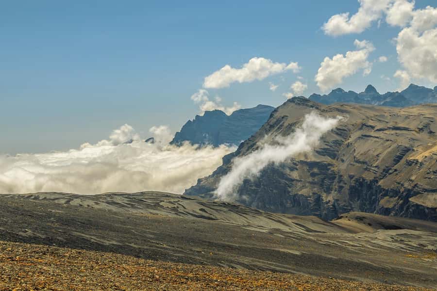 La Paz: Mountain Bike Down the World's Most Dangerous Road - Yolosa and La Senda Verde Animal Refuge