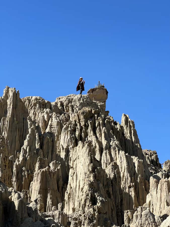 La Paz: Private Vehicle & Guide. City Tour + Moon Valley - The Witches Market offers a window into Aymara ritual life