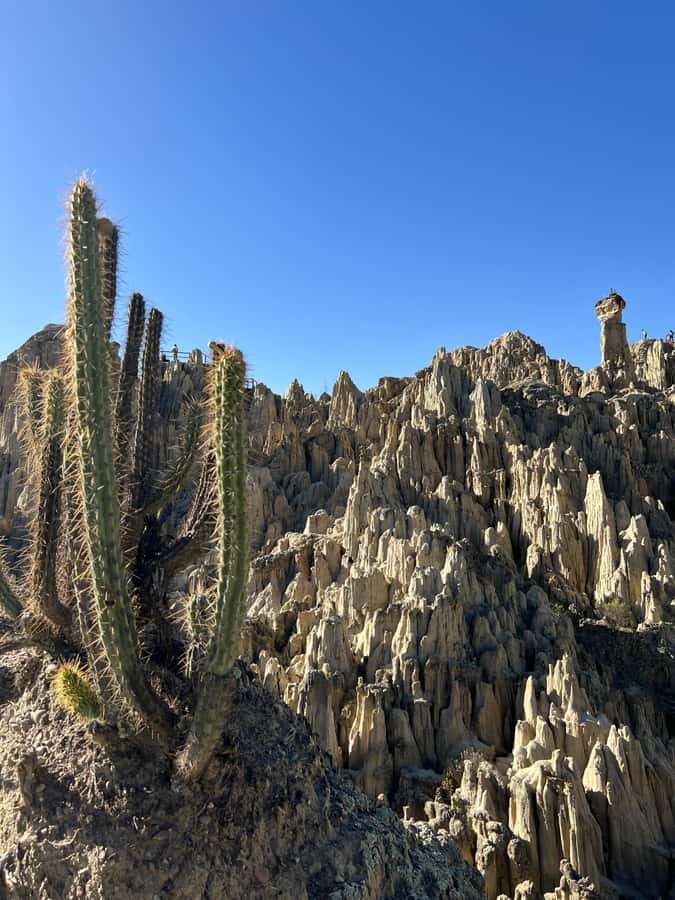 La Paz: Private Vehicle & Guide. City Tour + Moon Valley - San Francisco Church shows Andean Baroque detail