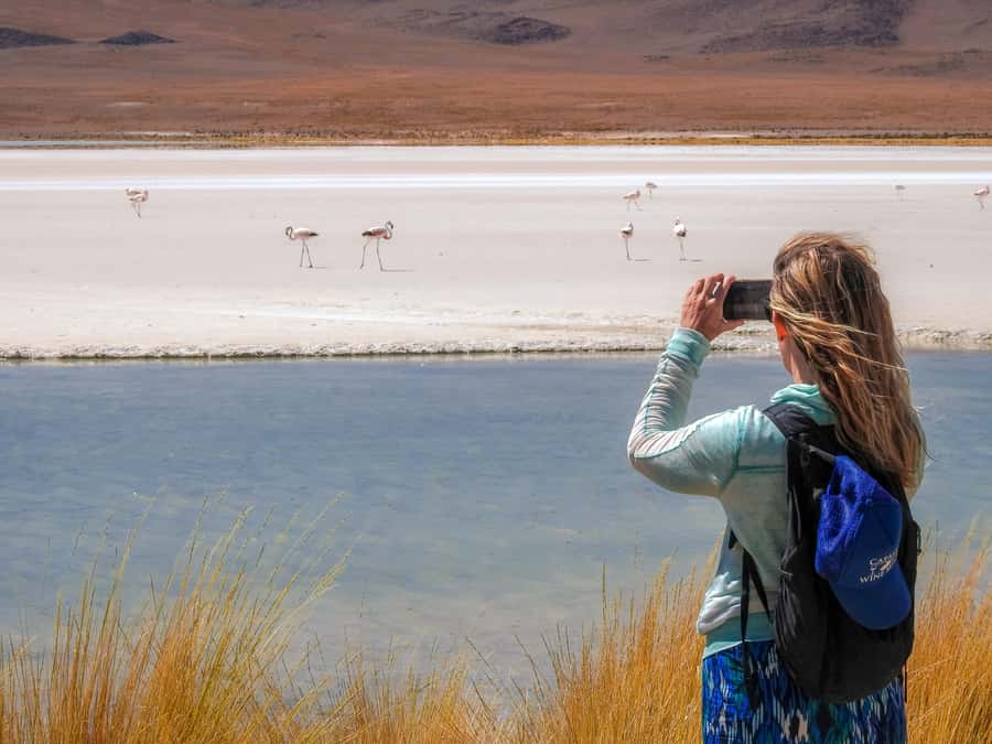 La Paz: Uyuni Salt Flats & Isla Incahuasi 5-Day Bus Tour - Who will get the most from this five-day route?