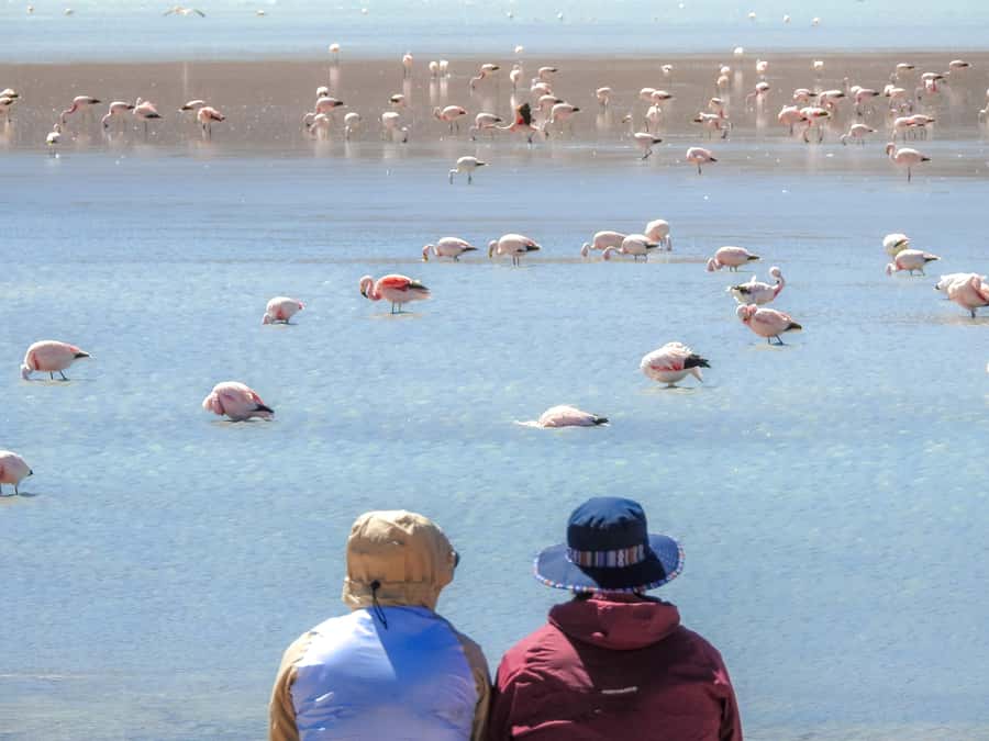 La Paz: Uyuni Salt Flats & Isla Incahuasi 5-Day Bus Tour - Day 3: lagoons, flamingos, and the Red Lagoon