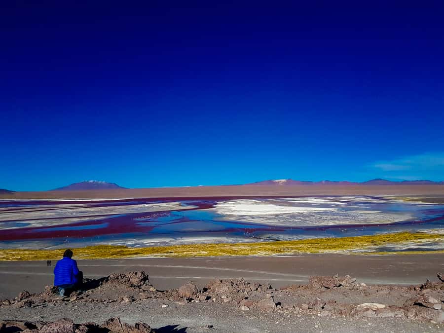 La Paz: Uyuni Salt Flats & Isla Incahuasi 5-Day Bus Tour - Day 1: the 9 p.m. bus from La Paz