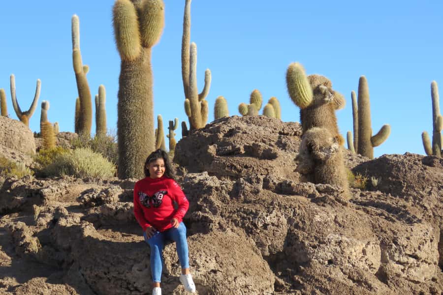 La Paz: Uyuni Salt Flats & Lagoon Share Trip (private room) - Who Should Book This Trip?
