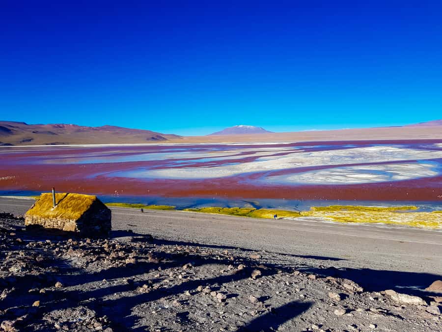 La Paz: Uyuni Salt Flats & San Pedro de Atacama 3-Day Tour - Lagoons, flamingos, and the Red Lagoon on Day 3