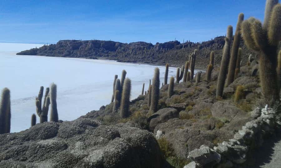 La Paz: Uyuni tour ending in Atacama Chile by bus. - What $529 Includes — and What It Leaves Out