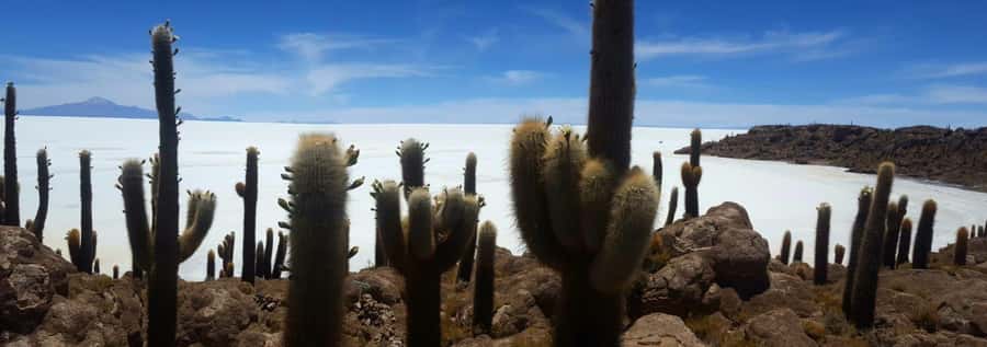 Roundtrip to the Uyuni Salt Flat and the Colored Lagoons - Guide language and the human side of the trip