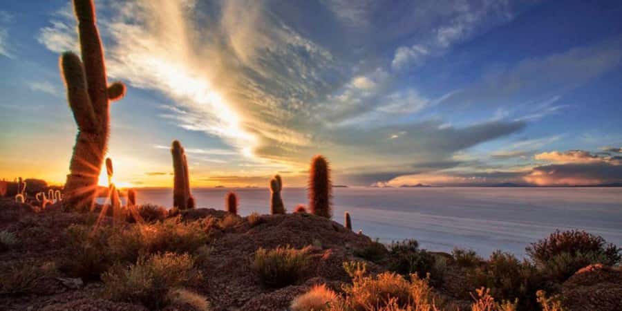 Salar de Uyuni 1 day + photo session + Sunset (English) - A $76 Day Across Bolivia’s White Salt Plain
