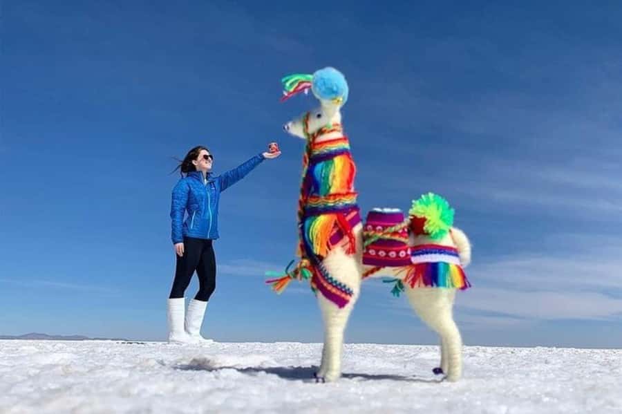 Salar de Uyuni 1 day + photo session + Sunset (English) - Colchani’s Salt Factory and Handmade Souvenirs