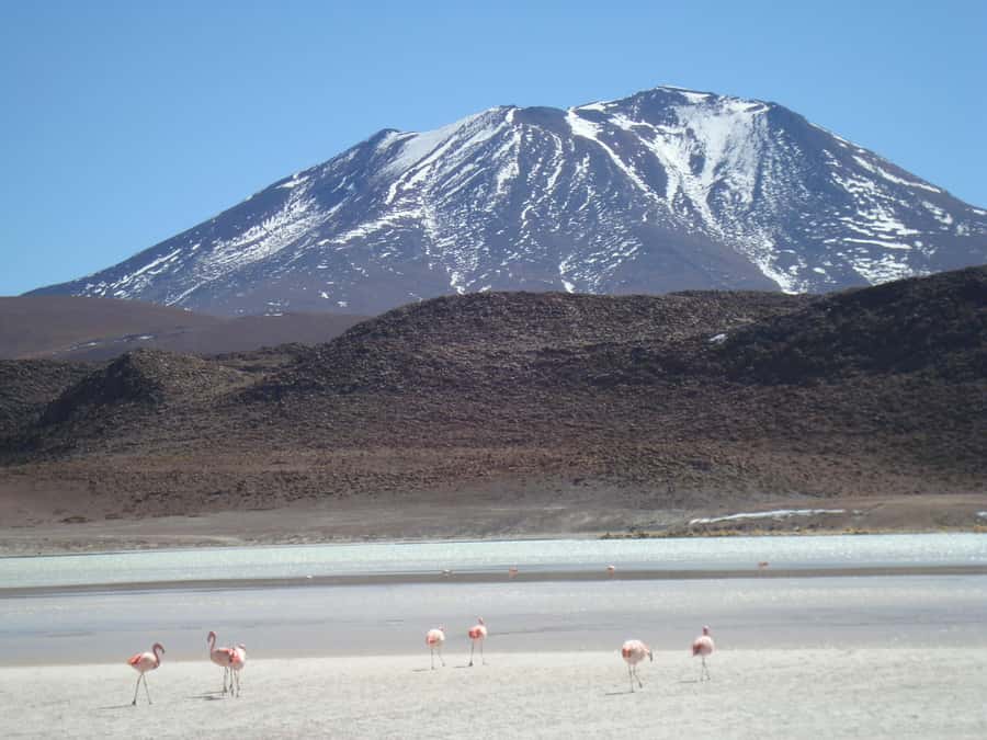 San Pedro de Atacama: 3 D. Tour Uyuni and Back to San Pedro - Why this route works in only three days