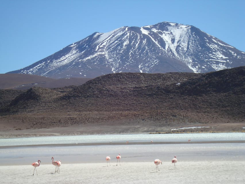 San Pedro de Atacama: 3 D. Tour Uyuni and Back to San Pedro - Day 3: Train Cemetery, Lake Catal, and the return to Chile