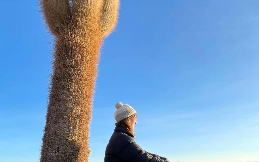 San Pedro de Atacama: 4-Day Uyuni Salt Flats Tour - Who Will Get the Most From This Route?