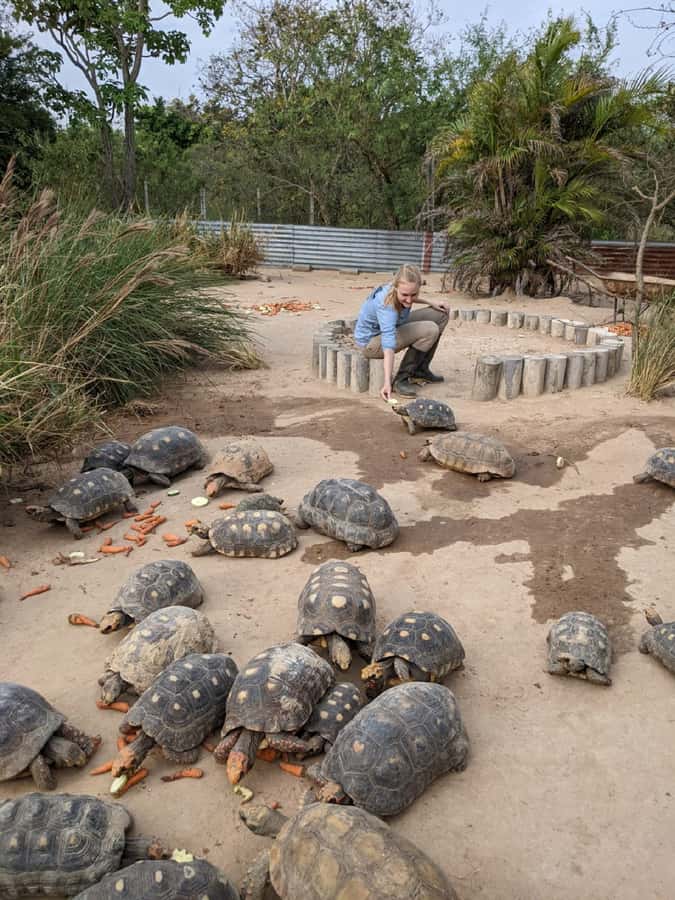 Santa Cruz: Wildlife Sanctuary and Preservation Park Tour - Swamps, lagoons, and plants from three climate zones