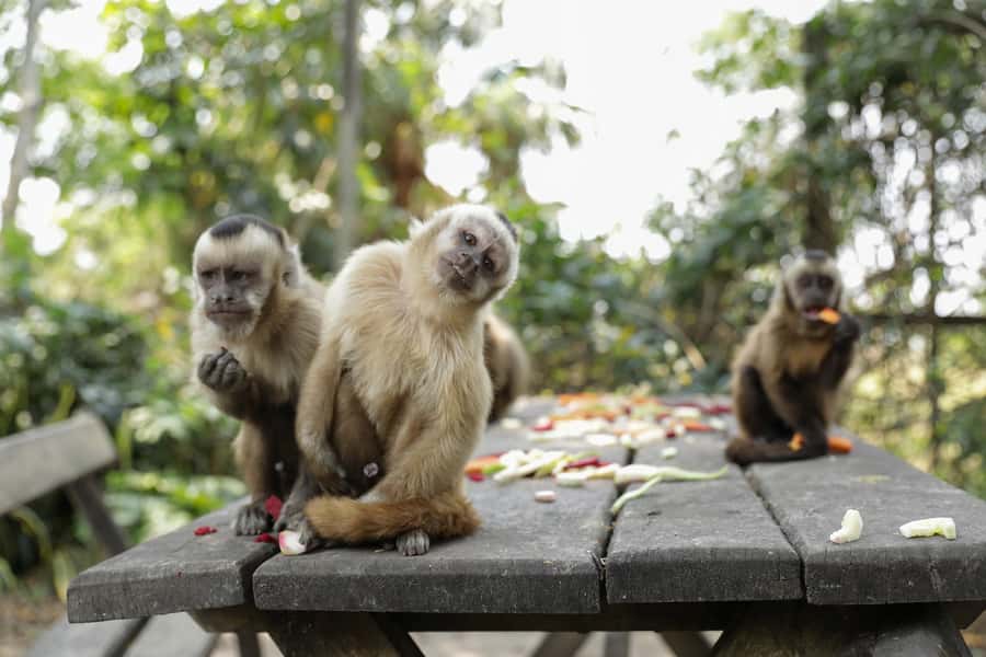 Santa Cruz: Wildlife Sanctuary and Preservation Park Tour - What $85 includes — and where the value lies