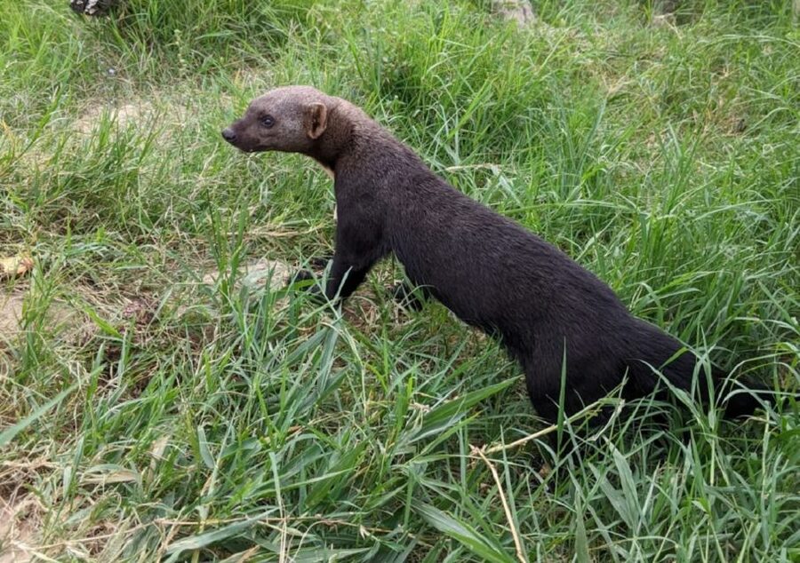 Santa Cruz: Wildlife Sanctuary and Preservation Park Tour - Clothing, insects, and small rules that matter