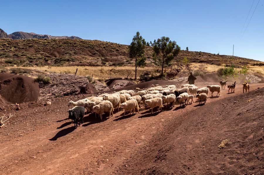 Sucre: 2 days trek in Inca Trails and the Crater de Maragua - Five things to know before you book