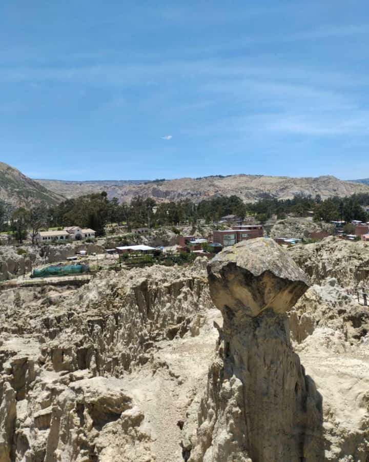 Tour moon valley and rich areas La Paz city - Who Will Enjoy This Tour Most?