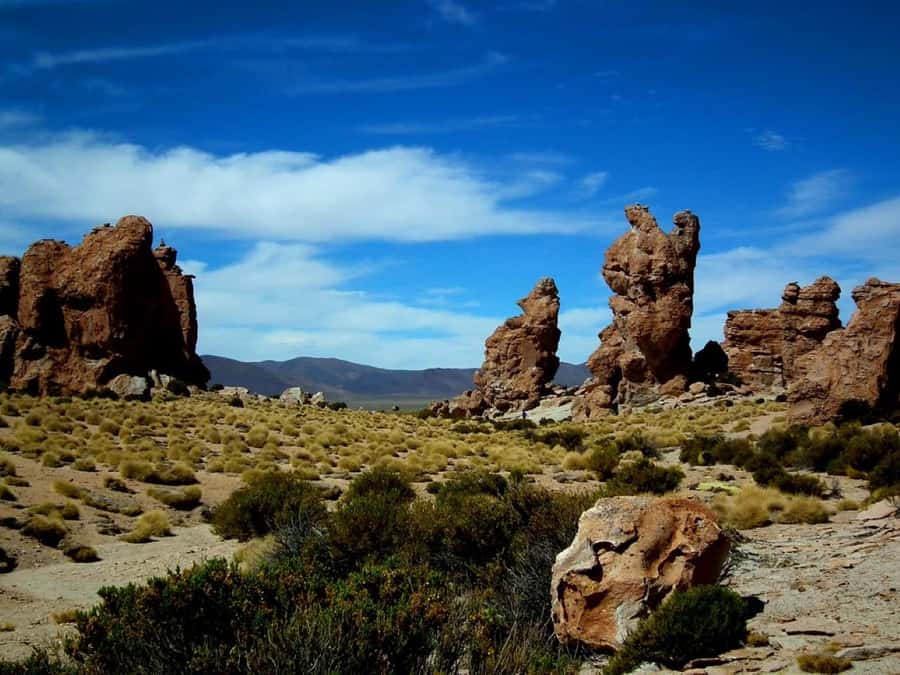 Uyuni: 2-day tour to the salt flat and altiplanic lagoons - A $200 route through Uyuni and the Potosi Department