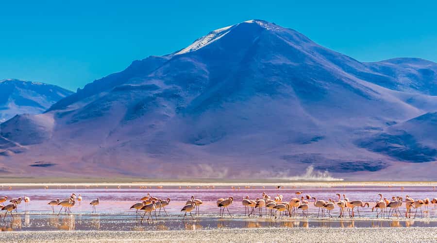 Uyuni: 3-Day Salt Flats Tour ending in San Pedro de Atacama - Who should book this three-day crossing?