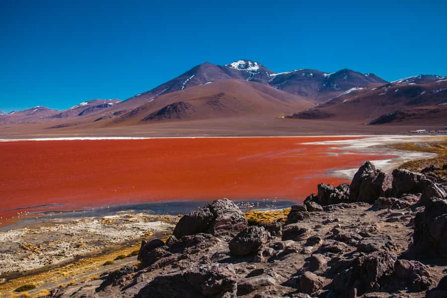 Uyuni: 3-Day Salt Flats Tour ending in San Pedro de Atacama - Should you book it?