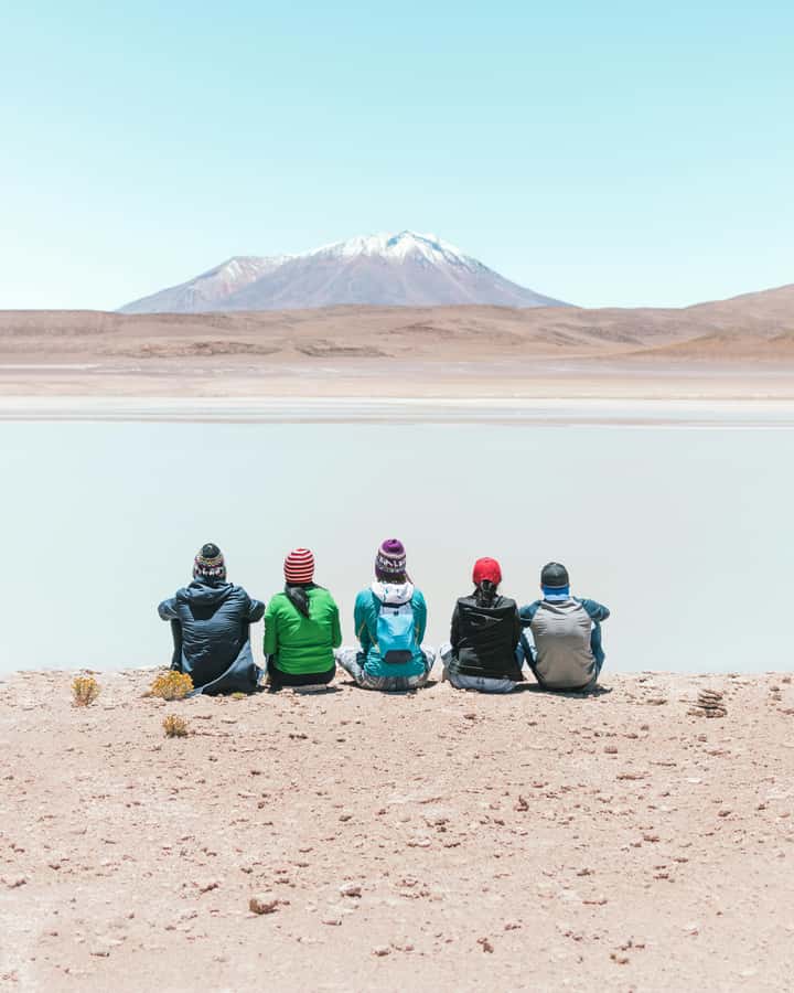 Uyuni: 3-Day Salt Flats Tour ending in San Pedro de Atacama - Day 2: Flamingo lagoons and the Stone Tree