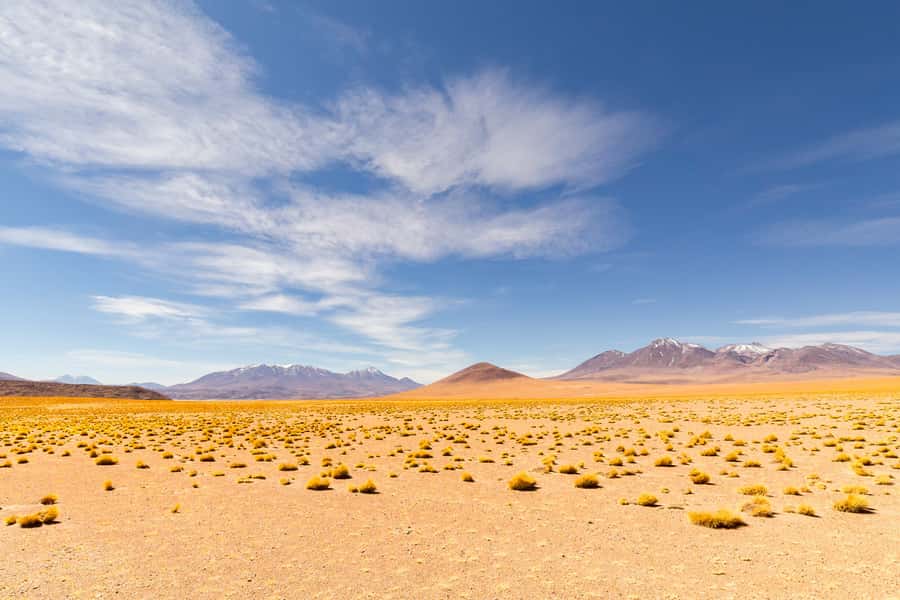 Uyuni: 3 day-tour, salt flats & surrealistic deserts - Should you book this Uyuni tour?